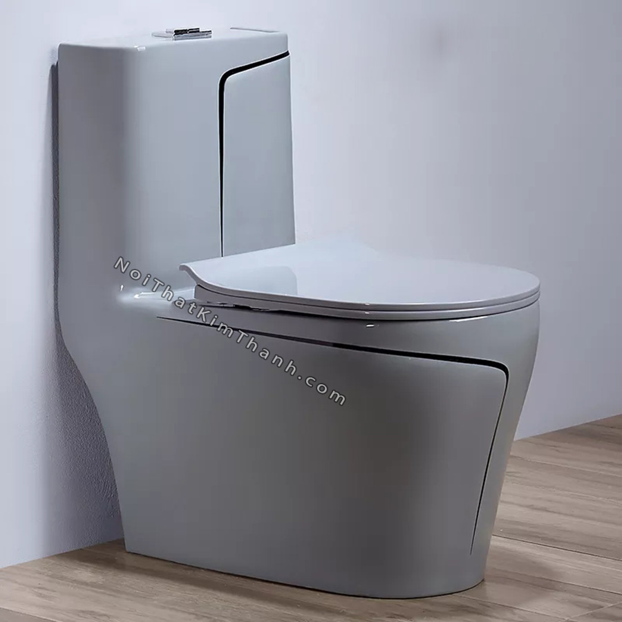 Bồn cầu liền khối màu xám kẻ chỉ đen - BC172