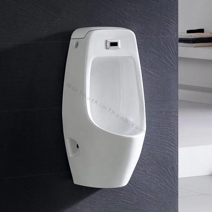 Bồn tiểu nam treo tường cảm biến - D51