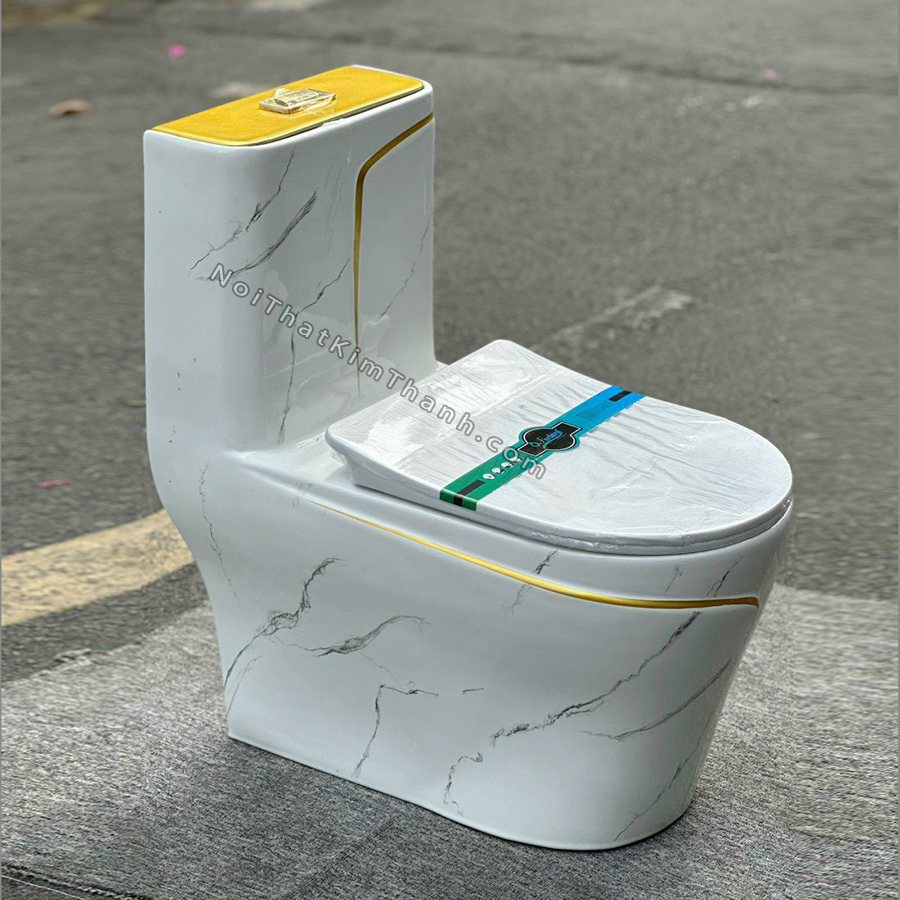 Bồn cầu liền khối màu trắng vân đá kẻ chỉ vàng - BC209